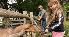 Animal experiences in the farm museum at Center Parcs Park Allgäu