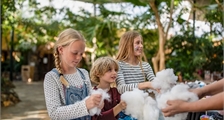 Kids Workshop: Make Your Own Stuffed Animal at Center Parcs Park Allgäu