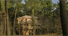 Tree House BD400 at Center Parcs Le Bois aux Daims