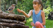 Discovering Birds at Center Parcs Le Bois aux Daims