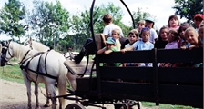Center Parcs Excursion: Carriage ride at Center Parcs Les Bois-Francs