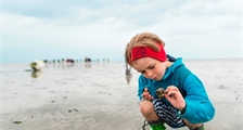 Academy: Walk in the Wadden Sea (UNESCO World Heritage) at Center Parcs Park Nordseeküste