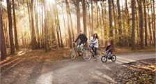 Gazelle bikes at Center Parcs De Eemhof