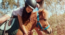 Pony Experience at Center Parcs Erperheide