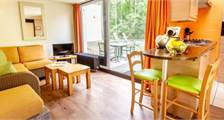 Premium cottage HH233 at Center Parcs De Huttenheugte