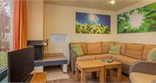 Premium cottage HH623 at Center Parcs De Huttenheugte