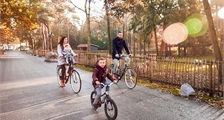 Gazelle bikes at Center Parcs De Huttenheugte