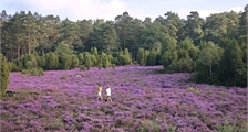 Center Parcs Excursions at Center Parcs Limburgse Peel
