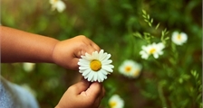 Digital Spring Celebrations Nature Discovery at Center Parcs Parc Sandur