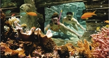 General activities at Center Parcs De Vossemeren