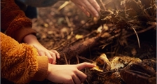 Digital Nature Discovery at Center Parcs Villages Nature Paris