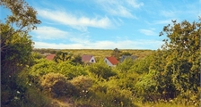 Digital Nature Discovery at Center Parcs Park Zandvoort