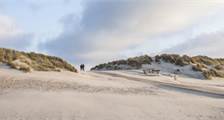 Surroundings Facilities at Landal Ameland State