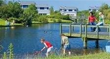 Sports and games activities at Landal Beach Park Texel