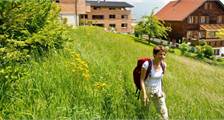 Sports and games Facilities at Landal Chalet Matin