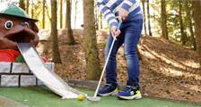 Sports and games  activities at Landal Dwergter Sand