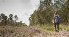 Surroundings activities at Landal Dwergter Sand