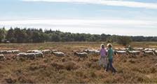 Hiking and cycling Facilities at Landal Heideheuvel