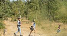 Hiking and cycling activities at Landal Kaatsheuvel