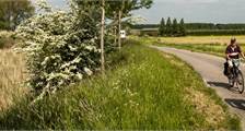 Sports and games activities at Landal Kaatsheuvel