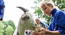 Kids activities at Landal Miggelenberg