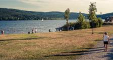 Sports and games activities at Landal Marina Lipno