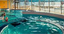 Swimming activities at Landal Marina Lipno