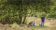 Hiking and cycling activities at Landal Orveltermarke