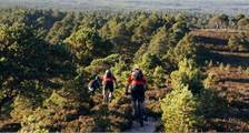Hiking and cycling activities at Landal Piperdam