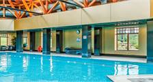 Swimming activities at Landal Piperdam