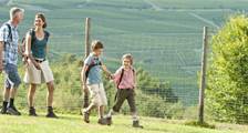 Hiking and cycling activities at Landal Sonnenberg