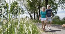 Hiking and cycling Facilities at Landal Twenhaarsveld