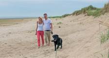 Hiking and cycling activities at Landal Vogelmient